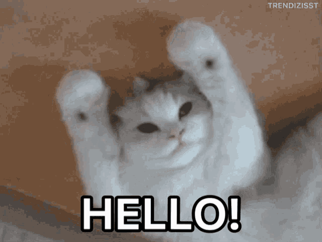 Hello there